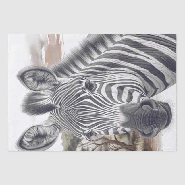 African Zebra Pencil Sketch Tissue Paper (Front)