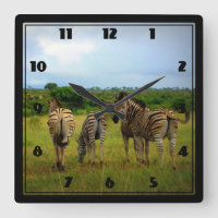 African Zebras in a Natural Setting