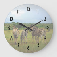 African Zebras on a Savannah Safari