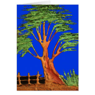 Africa's Acacia Beauty: Serengeti Serenity.