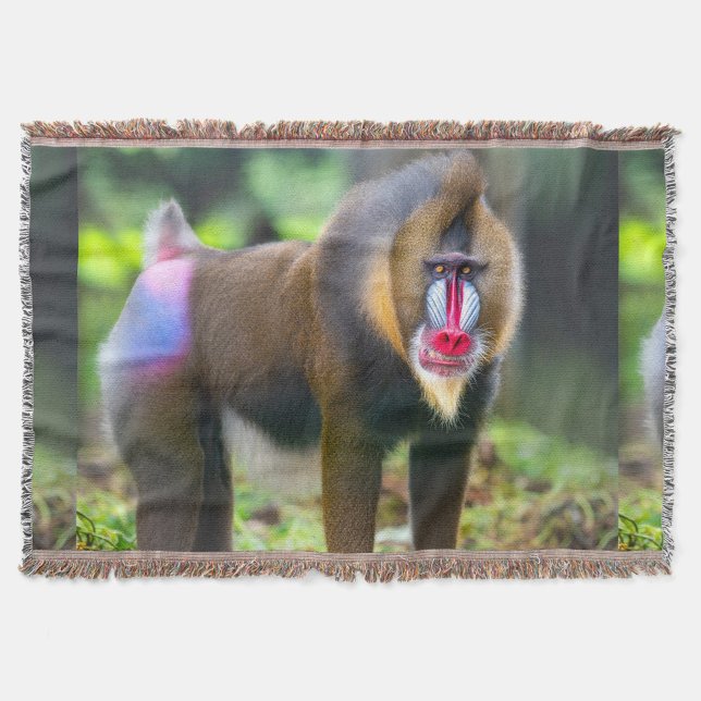 Africa's  Wildlife Throw Blanket (The highlight is its vibrant facial features and expressive eyes.)