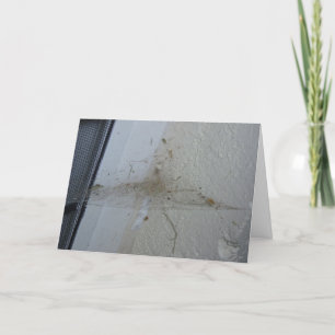 “After a Spider's House-Party" Hallowe’en Card