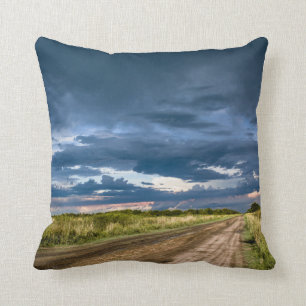 After A Torment Cushion