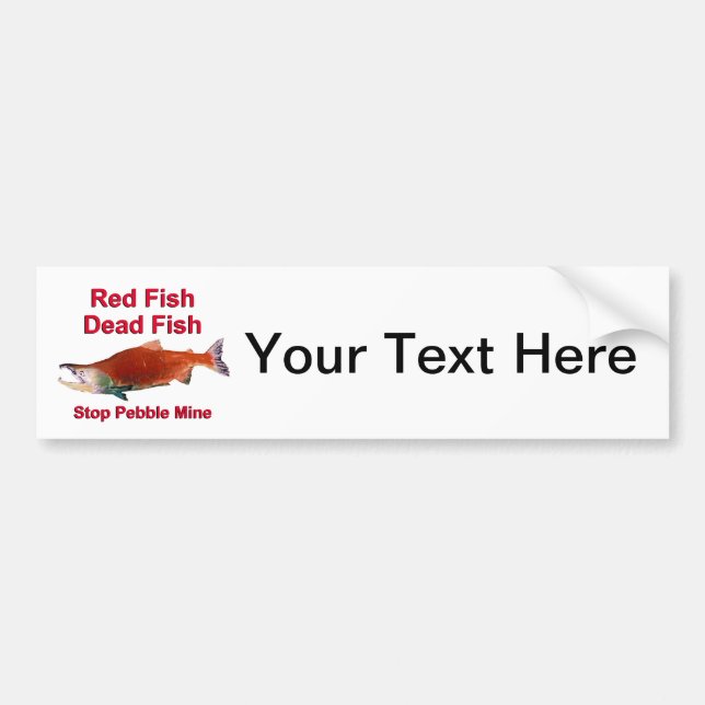 After Salmon - Stop Pebble Mine Bumper Sticker (Front)
