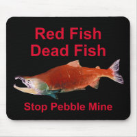 After Salmon - Stop Pebble Mine