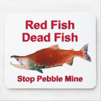 After Salmon - Stop Pebble Mine