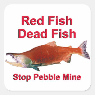 After Salmon - Stop Pebble Mine Square Sticker