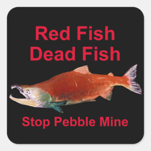 After Salmon - Stop Pebble Mine Square Sticker