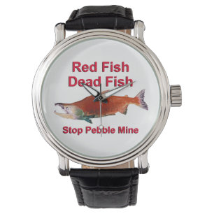 After Salmon - Stop Pebble Mine Watch