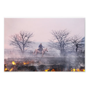 After the Prairie Fire, Flint Hills, Kansas Photo Print