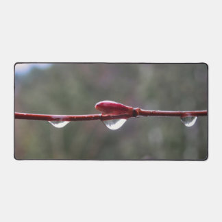 After the Rain Desk Mat