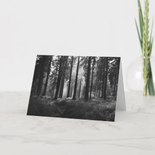 After the Rain • Greeting Card