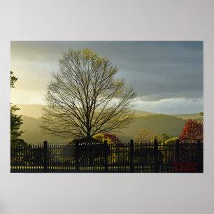 After the Rain Poster