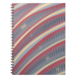 After the Snake Notebook