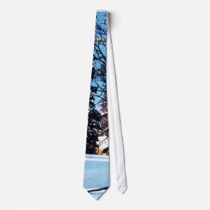 After the Snowstorm Tie