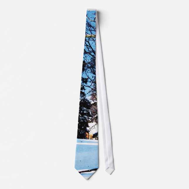 After the Snowstorm Tie (Front)
