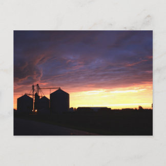 After The Storm Postcard