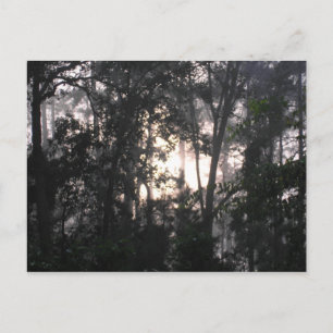 After the Storm - Postcard #2