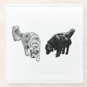 Afterglow Dot Sip — Retriever Duo Glass Coaster