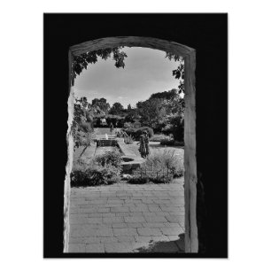 Afternoon Adventures Photo Print