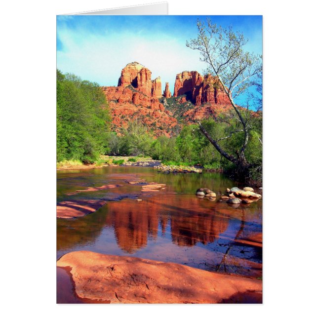 Afternoon Beauty (Front)