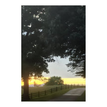 Afternoon Cloudy Sunset
