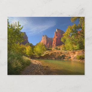 Afternoon In Zion National Park Postcard