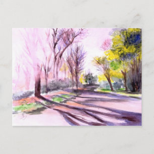 AFTERNOON SUN ON A ROAD, Ann Arbor, MI Postcard