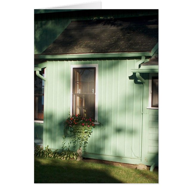 Afternoon Windowbox (Front)