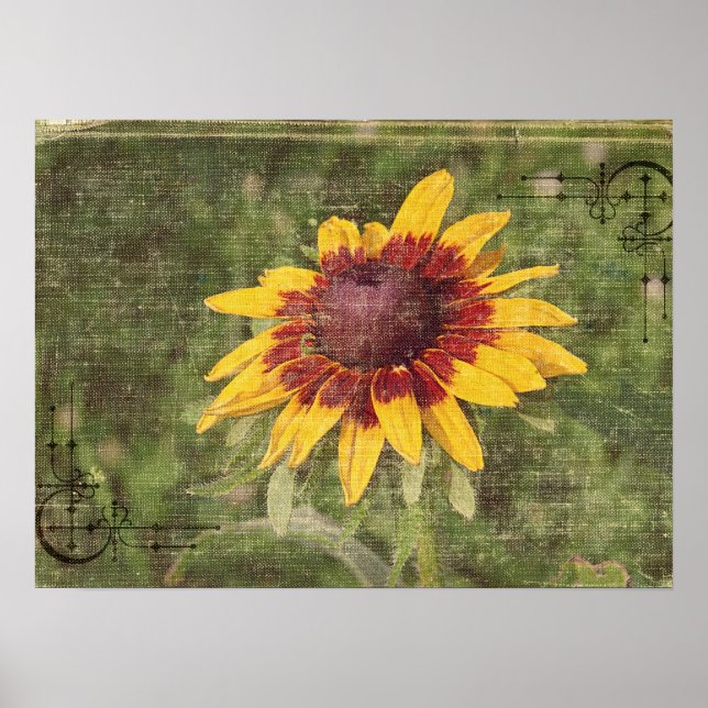 Again a Flower Poster (Front)