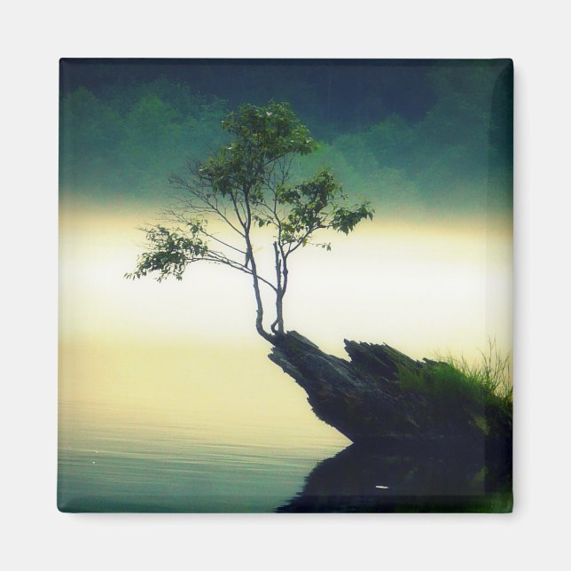 Against All Odds - Beautiful Tree Photograph Magnet (Front)