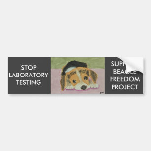 Against Animal Testing Bumpersticker Bumper Sticker