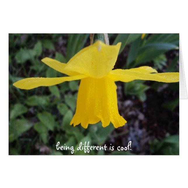 Against the grain is OK (Front Horizontal)