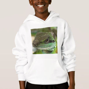 Agama, lizard