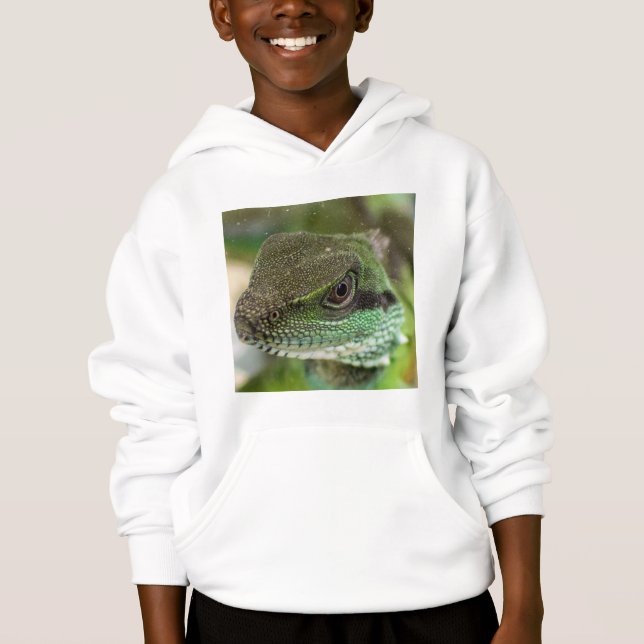 Agama, lizard (Front)