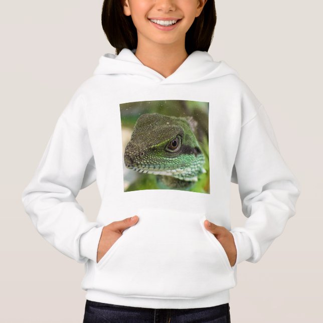 Agama, lizard (Front)