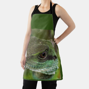 Agama, lizard apron