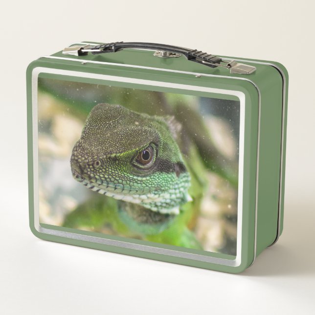 Agama, lizard metal lunch box (Back)