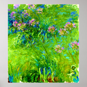 Agapanthus by Claude Monet Poster