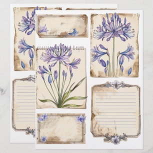 Agapanthus flower Fussy Cut Ephemera Custom Letterhead