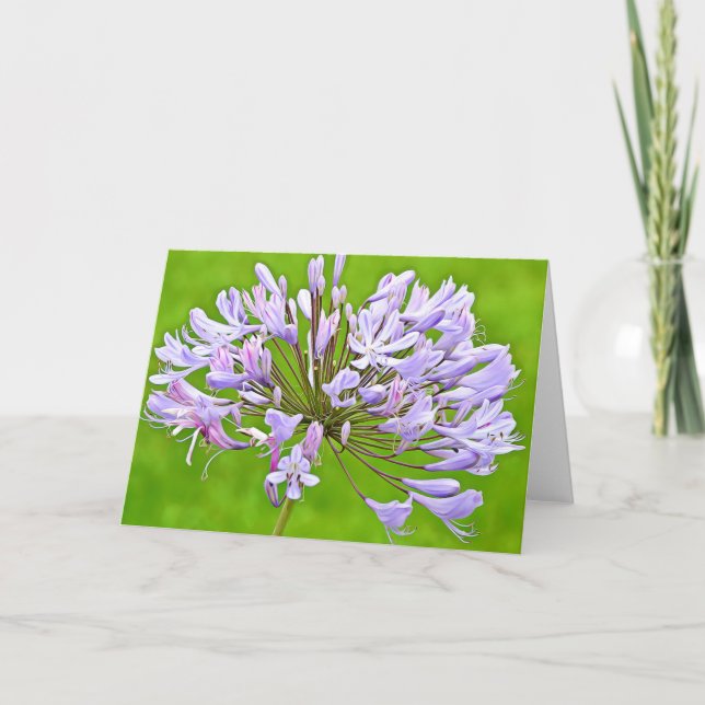 Agapanthus Lily Scripture Card 2 Corinthians 4:15 (Front)