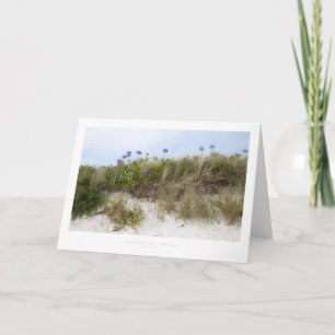 Agapanthus, Tresco Card