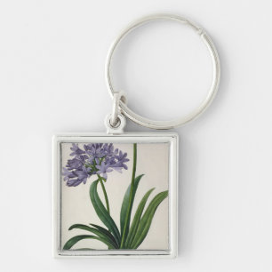 Agapanthus umbrellatus key ring