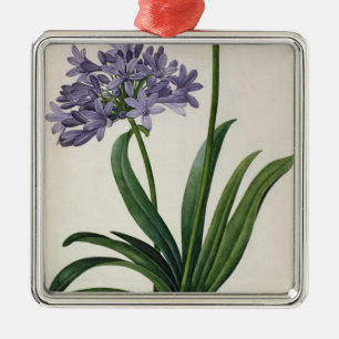 Agapanthus umbrellatus metal tree decoration