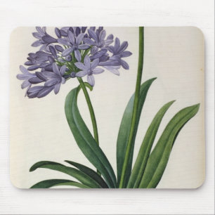 Agapanthus umbrellatus mouse pad