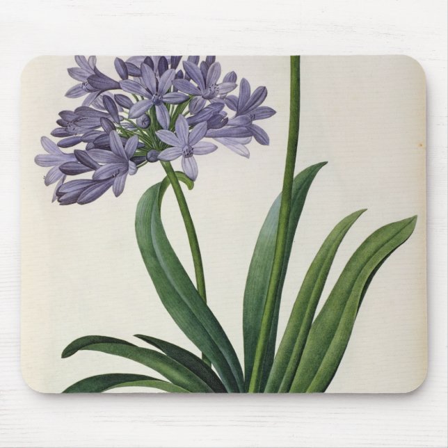 Agapanthus umbrellatus mouse pad (Front)
