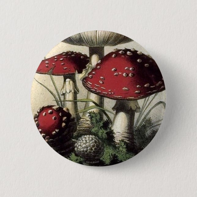 Agaricus Muscarius Mushroom 6 Cm Round Badge (Front)
