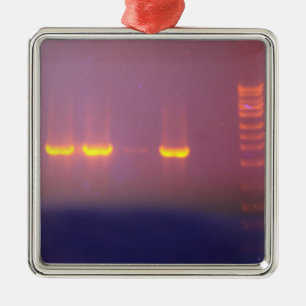 Agarose Gel Electrophoresis Metal Tree Decoration