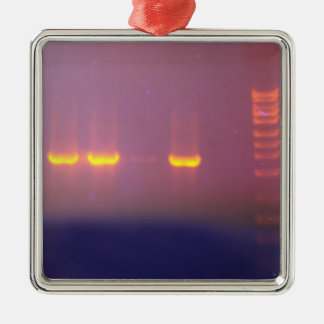 Agarose Gel Electrophoresis Metal Tree Decoration