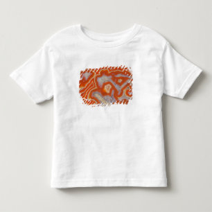 Agate sample toddler T-Shirt